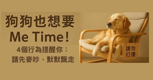 🐶 狗狗也想要 Me Time！