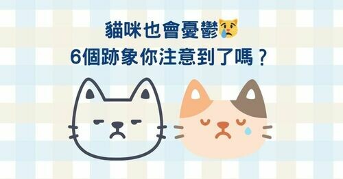 貓咪也會憂鬱？6個跡象你注意到了嗎？