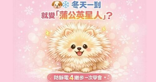 🐶❄️ 狗狗一到冬天就變「蒲公英星人」？防靜電 4 撇步必學，告別炸毛危機！