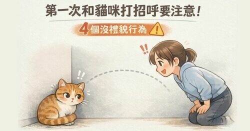 🐱第一次和貓咪打招呼要注意！「4 個沒禮貌行為」直接送進黑名單