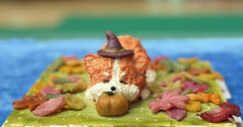 寵美．匠心盃 NGKC第五屆寵物烘培職業技能等級大賽