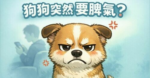 🐶 狗狗突然耍脾氣、臉超臭？你可能正在做「這 4 件機車事」，他不爽到炸 💣