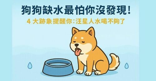 狗狗缺水最怕你沒發現！這4大跡象暗示汪星人水喝不夠