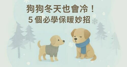 🧣天氣降溫狗狗也會冷！飼主必學「5個超實用保暖妙招」🐶❄️