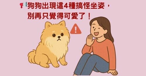 📢 狗狗出現這4種搞怪坐姿，別再只覺得可愛了！