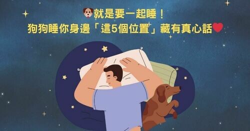 🐾 就是要一起睡！ 狗狗睡你身邊「這5個位置」藏有真心話❤️