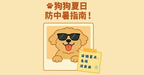 🐾 夏天到了，小心毛孩中暑啦！🐶🔥