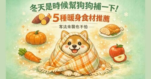 ❄️🐶 冬天是時候幫狗狗補一下！「5 種暖身食材推薦」寒流來襲也不怕
