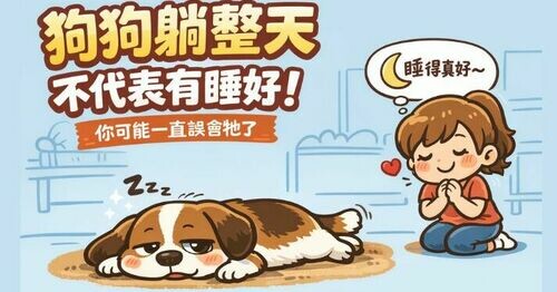 🐶 狗狗躺整天不代表他有睡好！