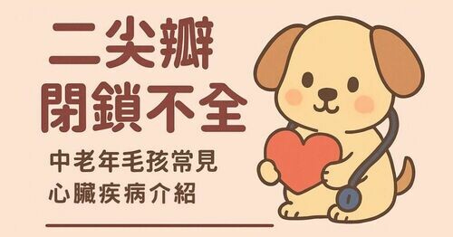 寵物疾病：二尖瓣閉鎖不全