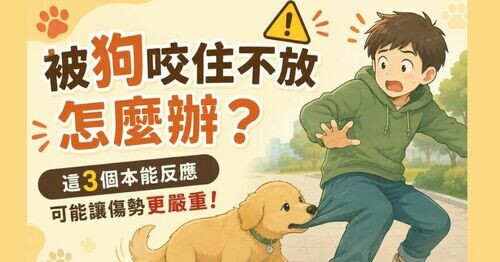 🐶 被狗咬住不放怎麼辦？專家警告：這3個常見錯誤反應，最後可能害慘自己！