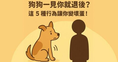 🐶 狗狗一見你就退後？ 小心！可能是這 5種行為 讓你一秒變壞蛋！