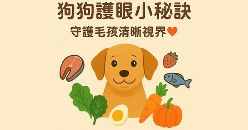  👀✨狗狗護眼小秘訣⎯護眼美食清單 🍎🥕🐟