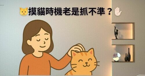 🐱✨ 摸貓時機老是抓不準？