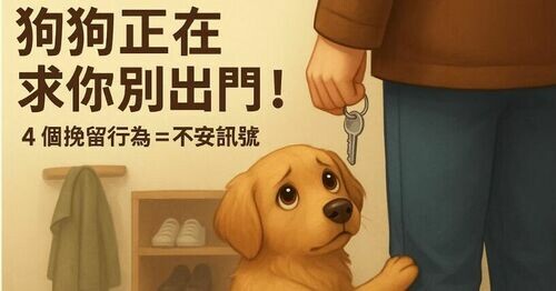 🐶狗狗正在求你別出門！汪星人用盡心機的「4 個挽留行為」