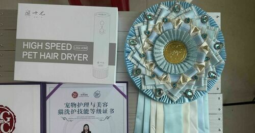 📍主理人進修去 | 中國泉州🐾