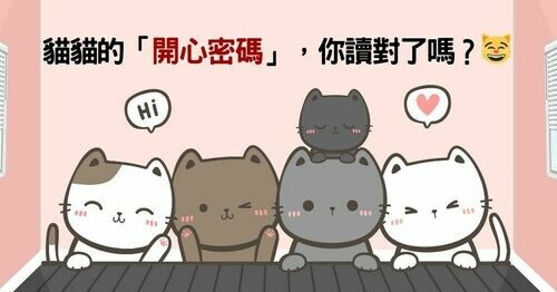 貓貓的「開心密碼」，你讀對了嗎？