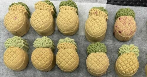 國中技藝班寵物烘焙體驗課：讓學習更有趣，對未來充滿想像