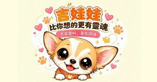 🐾 吉娃娃，其實比你想的更有靈魂