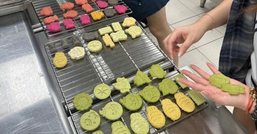 志仁高中寵物美容科_寵物鮮食餅乾課程