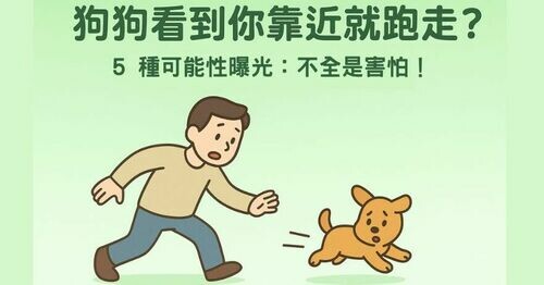 狗狗「看到你靠近立刻跑走」是什麼意思？