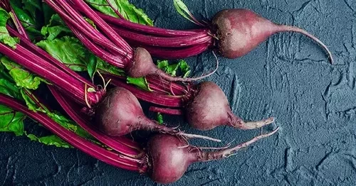 寵物鮮食食材：甜菜根