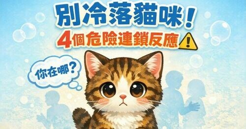 別隨便冷落貓咪！「4個危險連鎖反應」喵星人反過來把你當透明人 🥲🐱