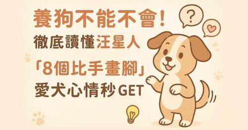 🐶 養狗不能不會！讀懂汪星人「8個比手畫腳」，愛犬心情秒GET 💡