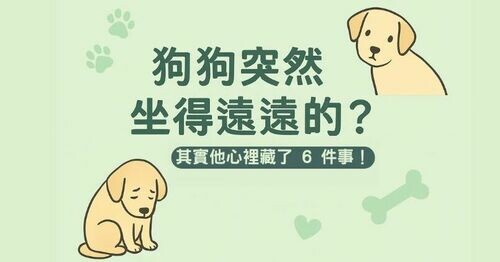 🐶狗狗突然避開你、坐得遠遠的？