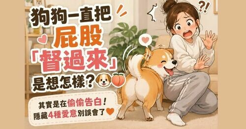 狗狗一直把屁股「湊過來」到底是想怎樣？🐶🍑