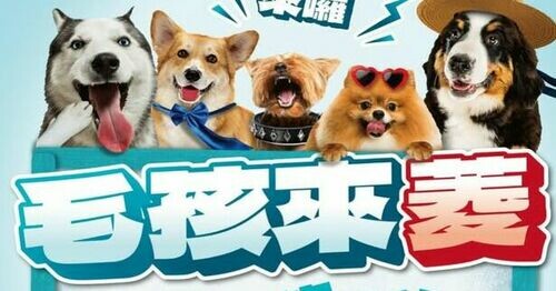 【中華三菱 x 國際寵物日｜毛孩來菱】一起度過有愛的一天🐾