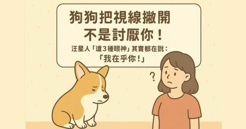 🐶 家中狗狗把視線撇開不是討厭你！