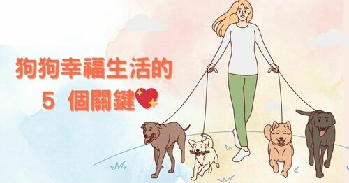 狗狗幸福生活的 5 個關鍵💖