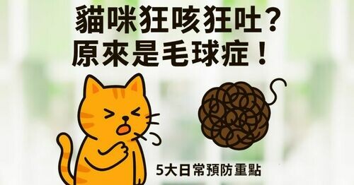 🐱💨 貓咪狂咳狂吐？小心是「毛球症」！