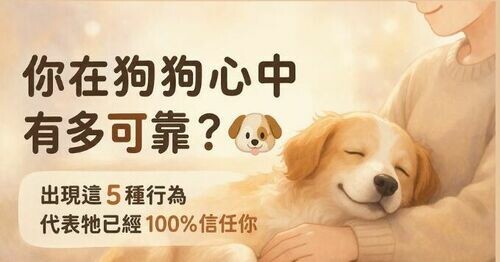 想知道你在狗狗心中有多可靠？出現這5種行為，代表他已經100%信任你 🧡