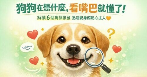 🐶 狗狗在想什麼，看嘴巴就懂了！