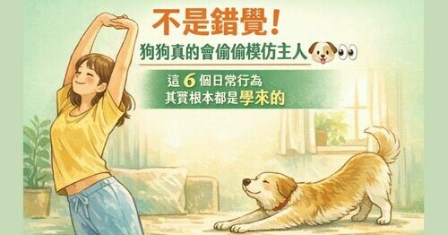🐶 不是錯覺！狗狗其實會偷偷模仿主人「這 6 個日常行為」根本都是學來的