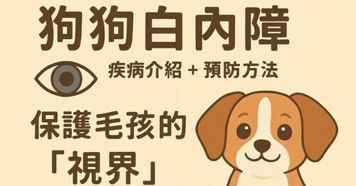 🐶👀 狗狗白內障｜疾病介紹與預防