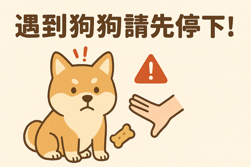 遇到狗狗請先停下手！👋🐶