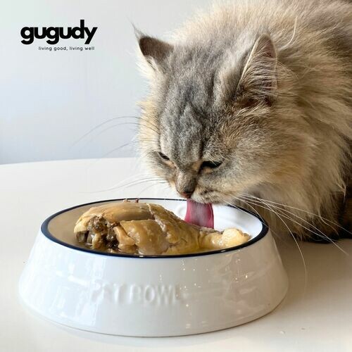 開運化骨雞腿湯