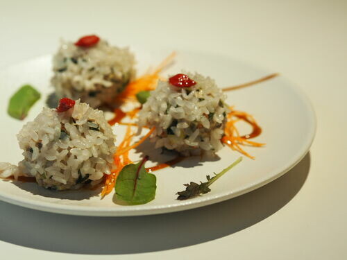 納財寵物珍珠丸